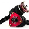 95-98 Nissan 240SX, 95-00 Nissan S14 - Front Performance Kit