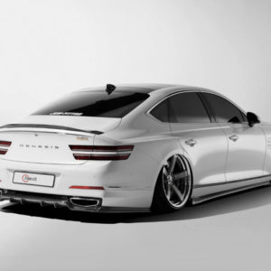 2021-2022 Genesis G80 Carbon Fiber Rear Diffuser